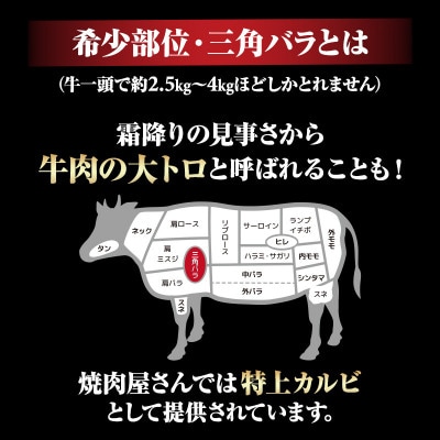 【佐賀牛】A5～A4等級 霜降り 厚切り カルビ 焼肉用 500g(小城市)