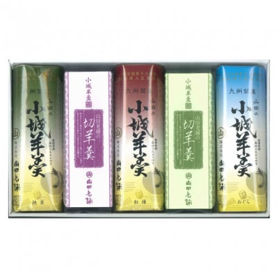 小城羊羹 食べ比べセット(化粧箱入)×2箱セット