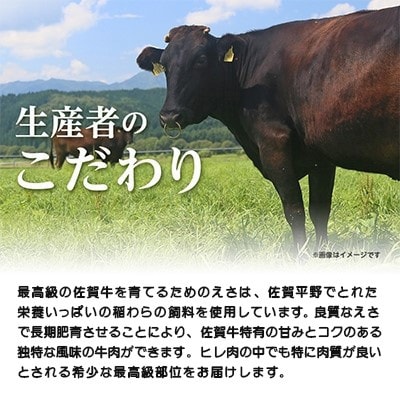 佐賀牛 シャトーブリアン　500g(小城市)