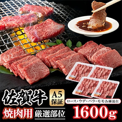 佐賀牛 A5 焼肉用【厳選部位】(ロース肉・モモ肉・ウデ肉・バラ肉)1600g(小城市)