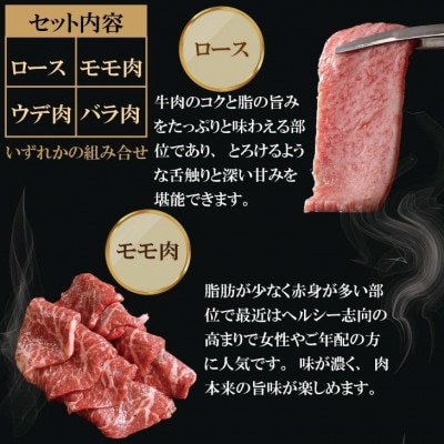佐賀牛 A5 焼肉用【厳選部位】(ロース肉・モモ肉・ウデ肉・バラ肉)1600g(小城市)