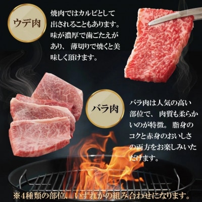 佐賀牛 A5 焼肉用【厳選部位】(ロース肉・モモ肉・ウデ肉・バラ肉)1600g(小城市)