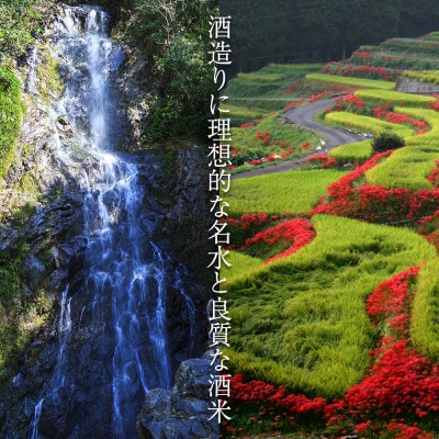 【のし付き】七田純米大吟醸720ml×1本