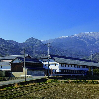 【のし付き】天山 純米 全麹仕込み 20年熟成