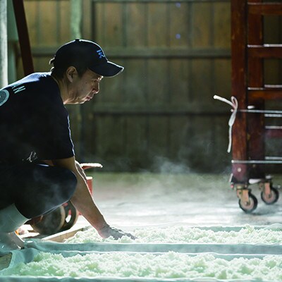 【のし付き】七田 初涙 純米初留取り焼酎