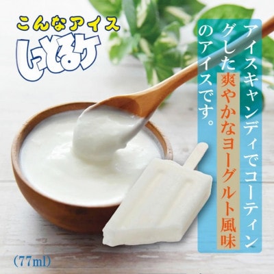 しっとるケ32本セット