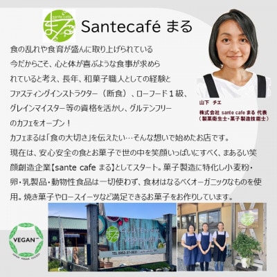 小麦不使用・ヴィーガン 米粉パン3本セット (プレーン チョコマーブル、桑茶)