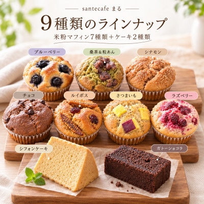 小麦不使用・ヴィーガン　米粉で作ったお菓子セット(NEW07)