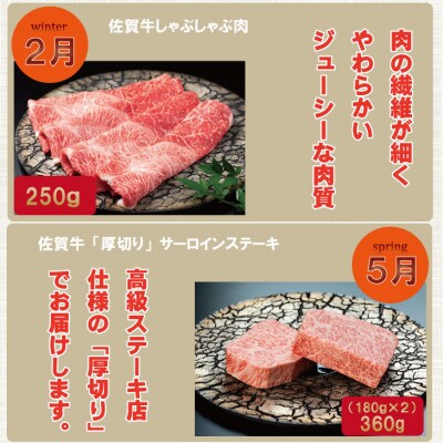 【発送月固定定期便】A5～A4ランク 厳選佐賀牛をお届け(小城市)全4回