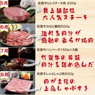 【発送月固定定期便】A5～A4ランク 佐賀牛 毎月届く至福の時 ご家庭用(小城市)全12回