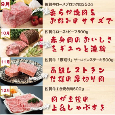 【発送月固定定期便】A5～A4ランク 佐賀牛 毎月届く至福の時 ご家庭用(小城市)全12回