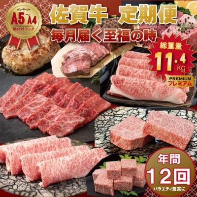 【発送月固定定期便】A5～A4ランク 佐賀牛 毎月届く至福の時 プレミアム(小城市)全12回