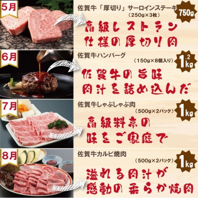 【発送月固定定期便】A5～A4ランク 佐賀牛 毎月届く至福の時 プレミアム(小城市)全12回