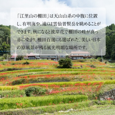 江里山の小豆(大納言)2kg