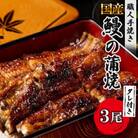 鰻の蒲焼き 鰻屋 川べぇ(国産うなぎ)【3尾】(180～190g×3)タレ付き