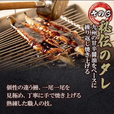 鰻の蒲焼き 鰻屋 川べぇ(国産うなぎ)【3尾】(180～190g×3)タレ付き