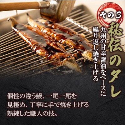 鰻の蒲焼き 鰻屋 川べぇ(国産うなぎ)【1尾】(180～190g)タレ付き