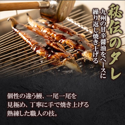 鰻の白焼き2尾・蒲焼き1尾 2種類セット 鰻屋 川べえ(国産うなぎ)