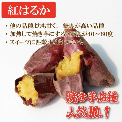 焼き芋 紅はるか 600g