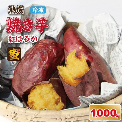 焼き芋 紅はるか 1000g