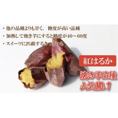 焼き芋 紅はるか 1000g