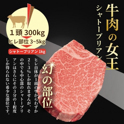 希少部位!A4～A5 佐賀牛 シャトーブリアンステーキ(約400g)