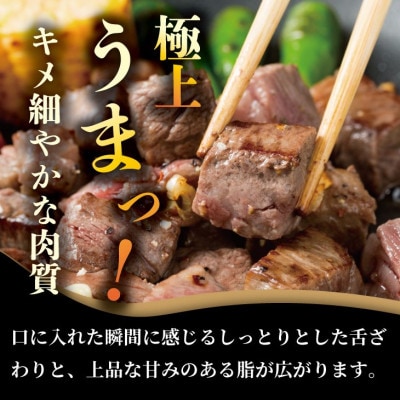 希少部位!A4〜A5 佐賀牛ヒレ サイコロ ステーキ 約400g