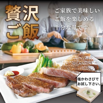 【A4～A5】人気の赤身肉!佐賀牛モモステーキ 約500g(100g×5枚)