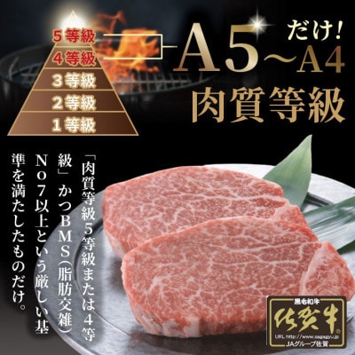 希少部位!A4～A5 佐賀牛ヒレステーキ(約400g)