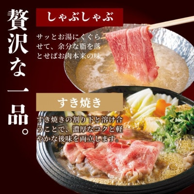 【A4～A5】人気の赤身肉!佐賀牛モモ肉(すき焼き・しゃぶしゃぶ)(約250g×2)