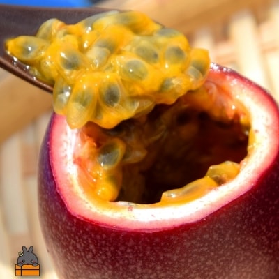 【今が旬!】～甘酸っぱい爽やかな美味しさ～ふとり農園のパッションフルーツ(1kg)