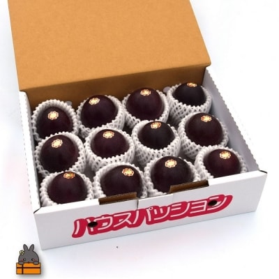 【今が旬!】～甘酸っぱい爽やかな美味しさ～ふとり農園のパッションフルーツ(1kg)