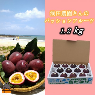 【今が旬!】満田農園さんのパッションフルーツ(約1.2kg)