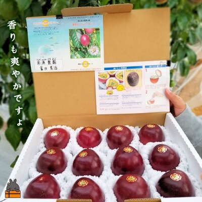 【今が旬!】～情熱の島からお届け～南原農園さんのパッションフルーツ(約1kg)
