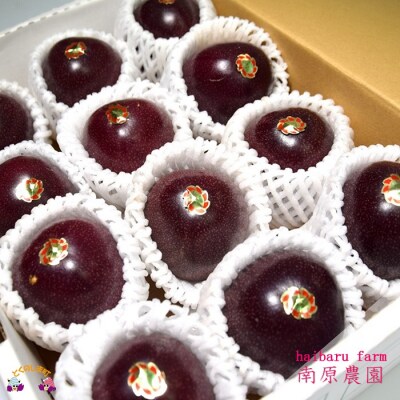 【今が旬!】～情熱の島からお届け～南原農園さんのパッションフルーツ(約1kg)