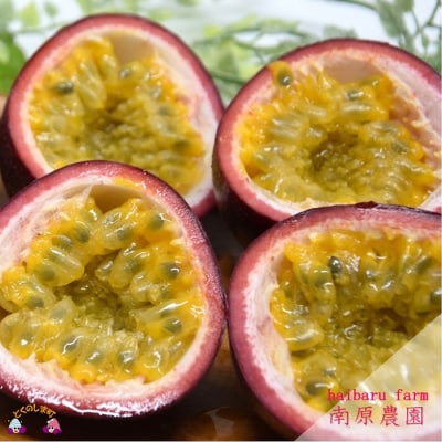 【今が旬!】～情熱の島からお届け～南原農園さんのパッションフルーツ(約1kg)