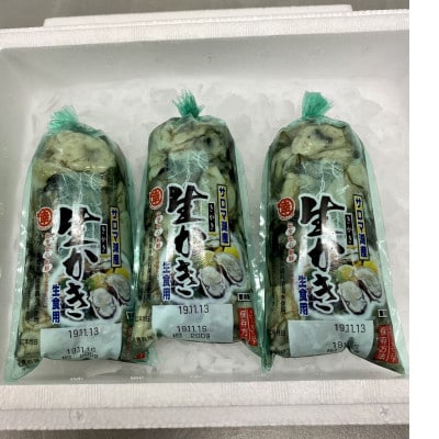 【先行受付】オホーツクサロマ産カキ1年貝むき身無水パック600g(200g×3パック)