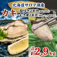 【先行受付】カキ殻付き2年貝約2.5kg・むき身1年貝400g(200g無水パック&times;2) セット