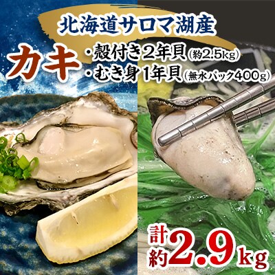 【先行受付】カキ殻付き2年貝約2.5kg・むき身1年貝400g(200g無水パック×2) セット
