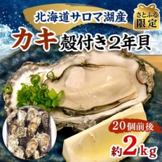 【先行受付】【さとふる限定】カキ殻付き2年貝約2kg(20個前後)