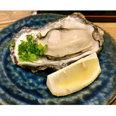 【先行受付】【さとふる限定】カキ殻付き2年貝約2kg(20個前後)