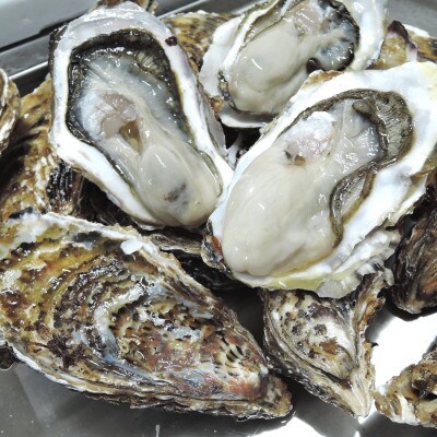 サロマ湖産殻付き牡蠣貝【二年物】2kg