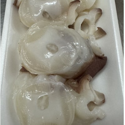【さとふる限定】真タコ足まるごと1本 1Kg前後