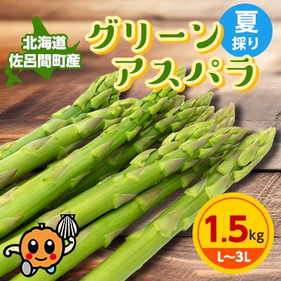 【先行受付】夏採りグリーンアスパラ 1.5kg L～3L 佐呂間町産【2025年7月から順次発送】