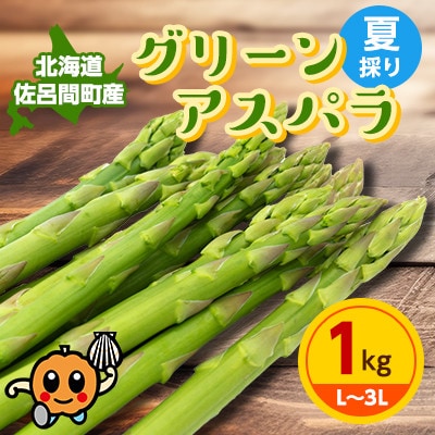 【先行受付】夏採りグリーンアスパラ 1kg L～3L 佐呂間町産【2024年7月から順次発送】