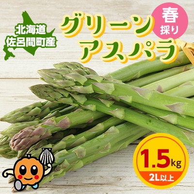 【先行受付】春採りグリーンアスパラ 1.5kg 2L以上 佐呂間町産【2025年3月末から順次発送】