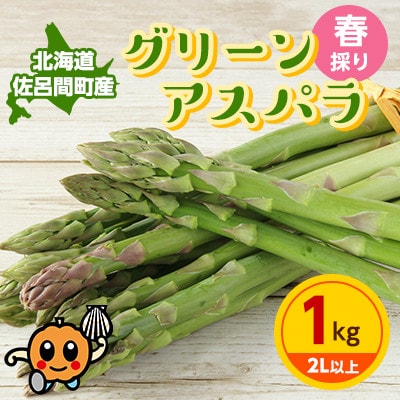 【先行受付】春採りグリーンアスパラ 1kg 2L以上 佐呂間町産【2025年3月末から順次発送】