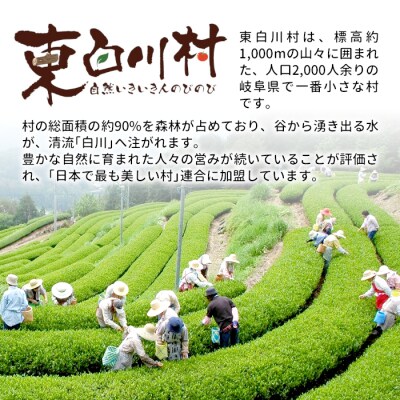 【返礼品なし】100,000円 岐阜県東白川村への寄付 返礼品無し 