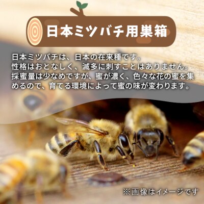 東白川村 日本ミツバチ用 飼育箱 ふるさと企画