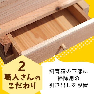 東白川村 日本ミツバチ用 飼育箱 ふるさと企画